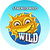 Stacked wild.